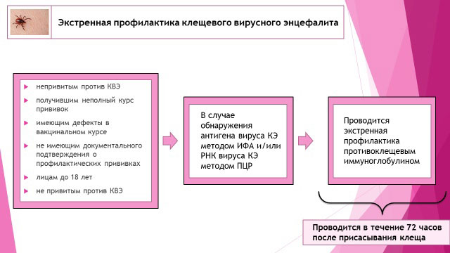 экстренная профилактика клещи